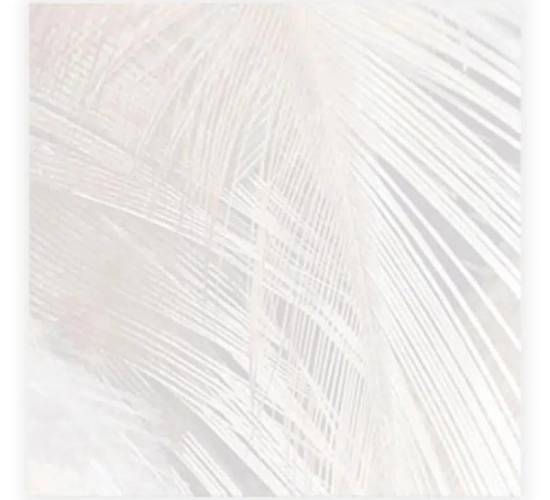 Теракот „Парадайс“ сив 42.5×42.5cm_1734822614.png